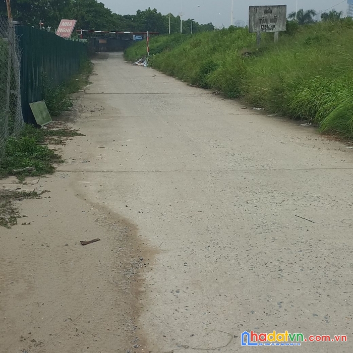Chính chủ bán đất phú thượng tây hồ dt dt 200m2, mt 8m, giá chỉ 6.2 tỷ