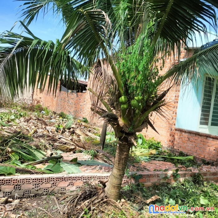 Cần bán lô đất vị trí đẹp tại thị xã hòa thành - tây ninh