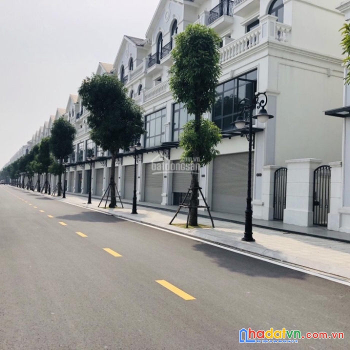 Tổng hợp quỹ căn cho thuê thấp tầng tại vinhomes ocean park - gia lâm - hà nội sẵn có