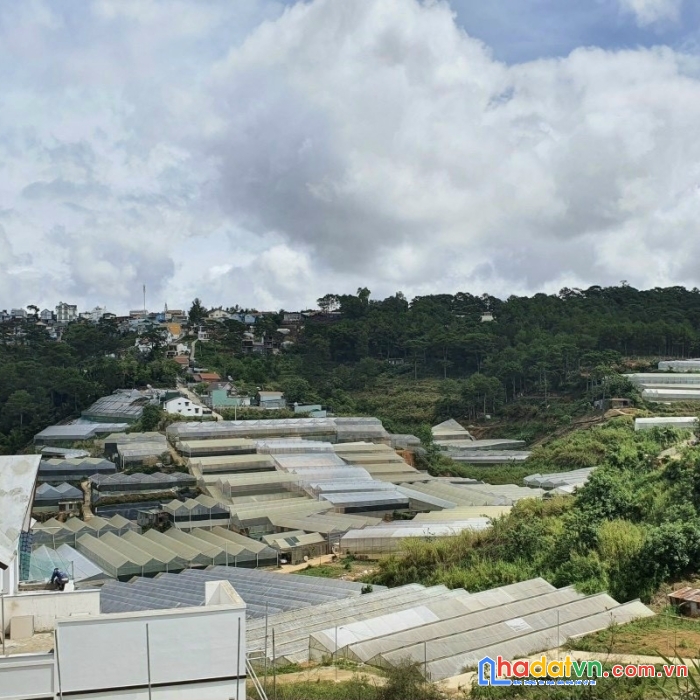 Đất xây biệt thự ngay mặt tiền an sơn, phường 4, tp. đà lạt, giá bán 25,5 tỷ