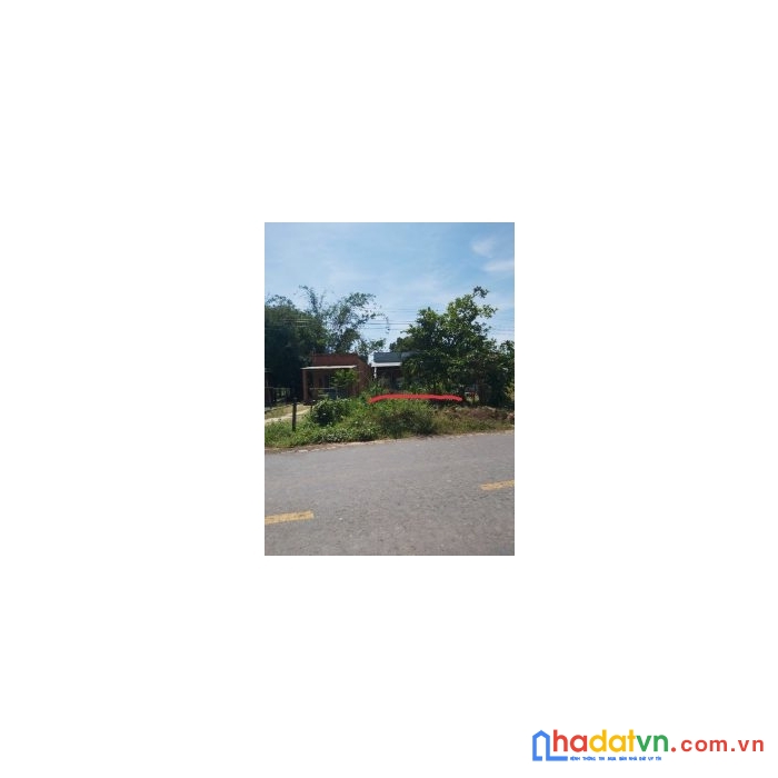 Chính chủ cần bán đất tại : ấp trà sim – xã ninh điền – huyện châu thành – tỉnh tây ninh