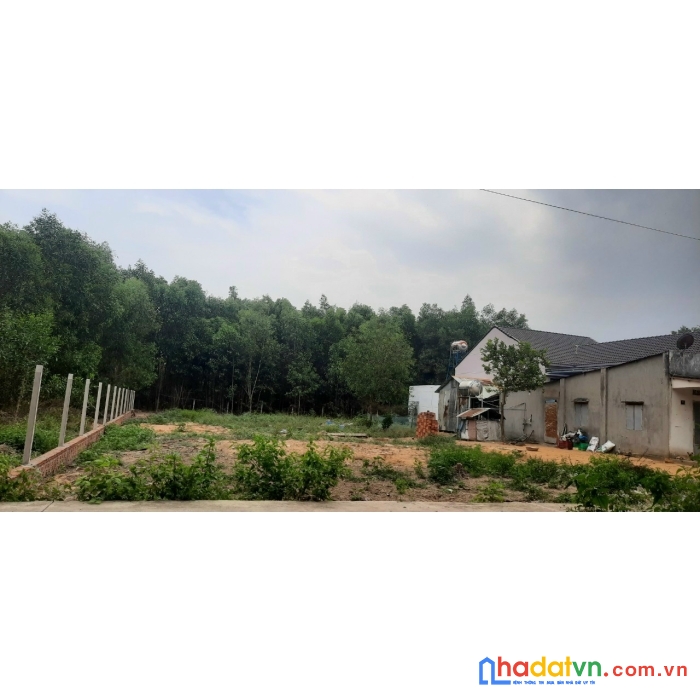 Bán đất chính chủ tại vĩnh thanh, nhơn trạch, đồng nai