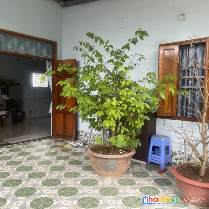 Bán hoặc cho thuê căn nhà tại phường 12, tp vũng tàu, tỉnh bà rịa-vũng tàu