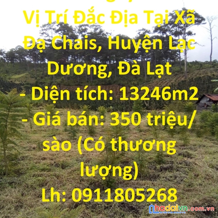 Sở hữu ngay lô đất vị trí đắc địa tại xã đạ chais, huyện lạc dương, đà lạt