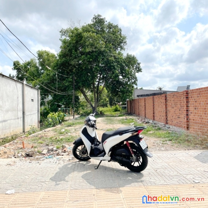Bán 325m2 (6.7 x 48m,nh 8m) mặt tiền nguyễn an ninh, tp.bà rịa