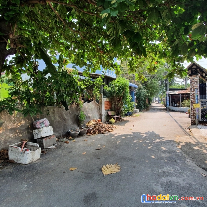 Cần bán đất thổ cư đường trần thị bốc, xã thới tam thôn, huyện hóc môn, tp hồ chí minh