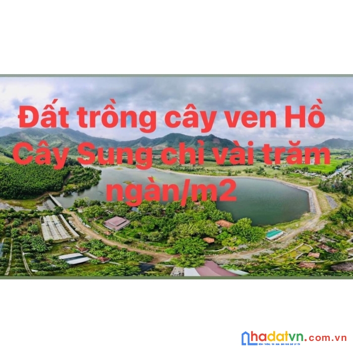 734m2 siêu phẩm đất vườn ven hồ cây sung, diên tân, diên khánh chỉ 345tr