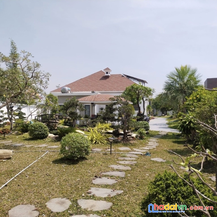 Bán biệt thự vườn 3042m2 tặng nội thất cao cấp đinh đức thiện long an