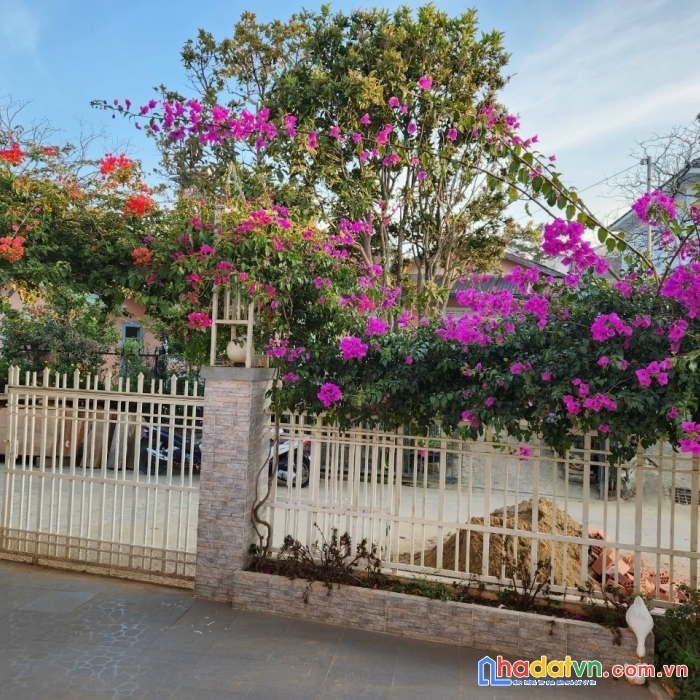 Bán villa đẹp, sổ riêng xây dựng trên đường trịnh hoài đức, phường 11, tp. đà lạt, giá 9,5 tỷ