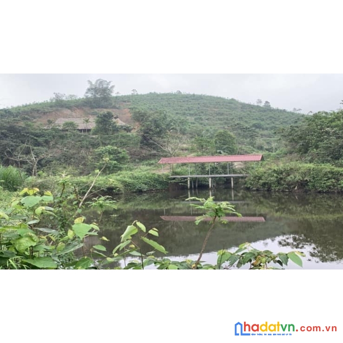 Mua bán trang trại khu nghỉ dưỡng lương sơn hòa bình