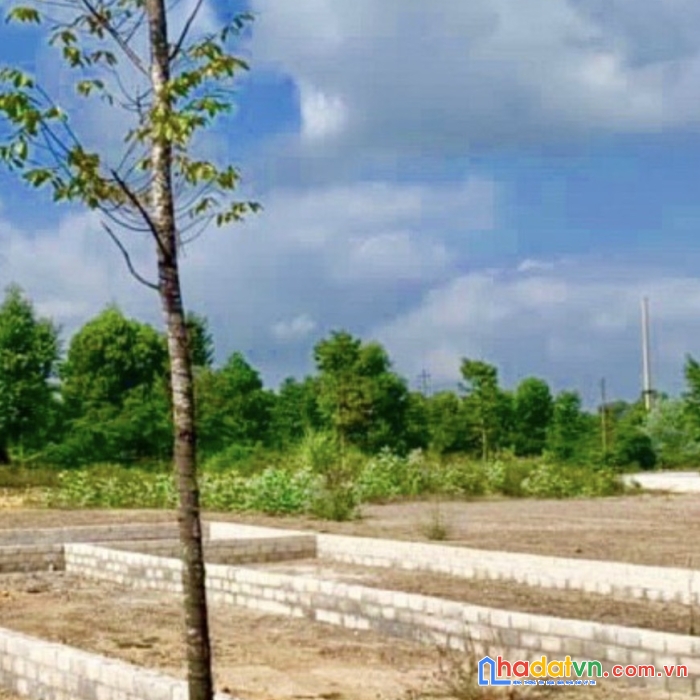 Chủ cần tiền bán gấp 130m2 giá rẻ lô góc 3 thoáng kinh doanh thạch thất hòa lạc gần đhqg, cnc