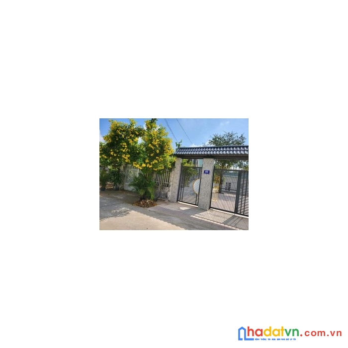 Chính chủ cần bán nhà vườn mặt tiền đường hòa long, thành phố bà rịa – vũng tàu.