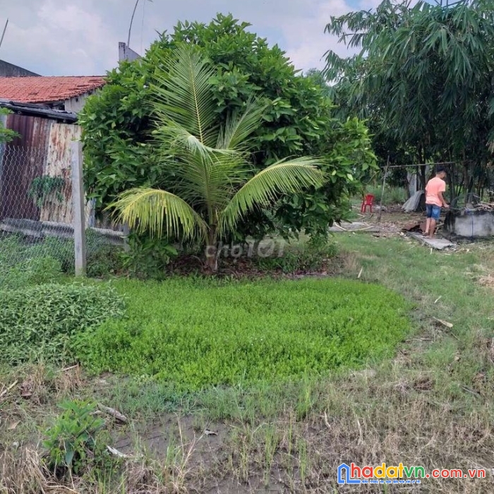 Chính chủ bán lô đất thổ cư 380m2 phước hậu -long an