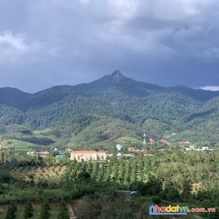 Cần bán gấp mảnh đất tại thị trấn đạmbri - đạ huoai - lâm đồng.