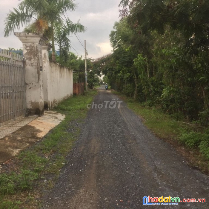 Chính chủ cần bán đất cực đẹp  tại huyện bình chánh, tp hồ chí minh