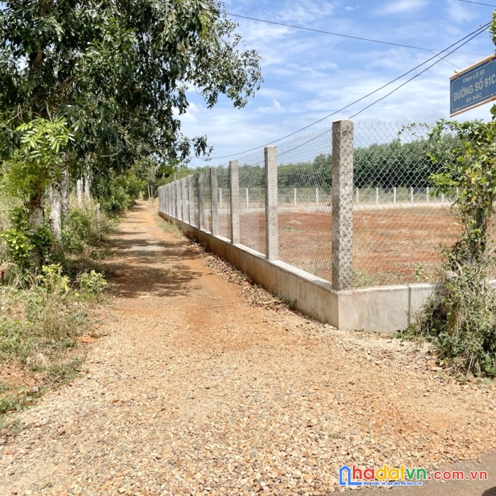 Đất 32m mặt tiền 1.291m2 đất cây hàng năm tp. bà rịa