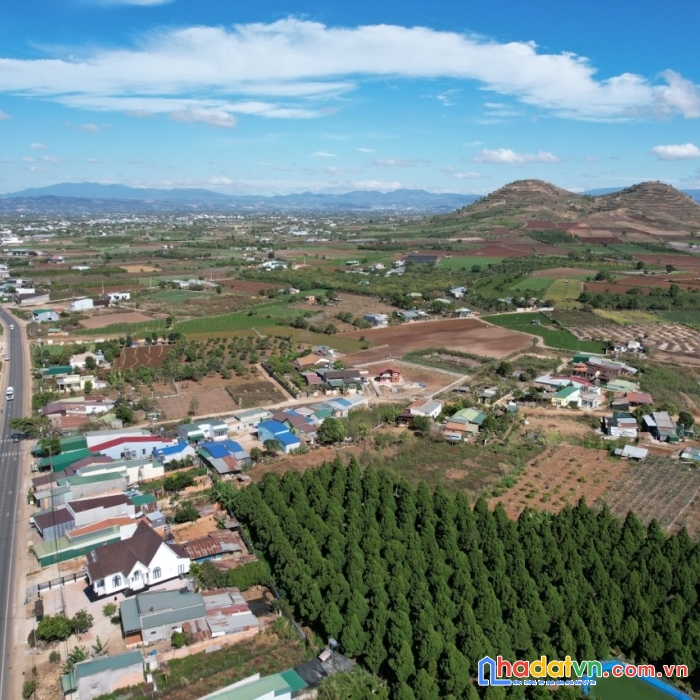 Cần bán đất view đồi núi đẹp 20 hecta,đ/c xã tân hội và xã phú hội, huyện đức trọng, tỉnh lâm đồng