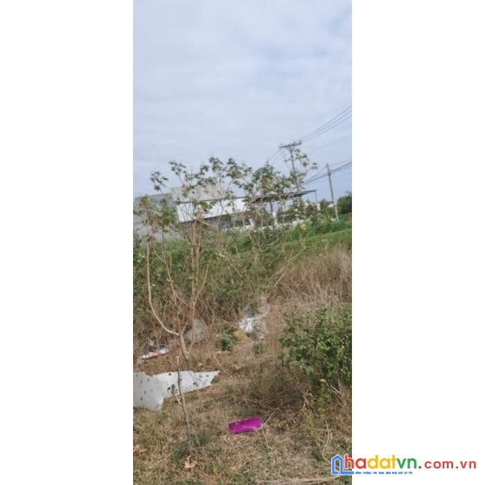 Chính  chủ cần bán nhanh lô đất vị trí đẹp tại ninh phước - ninh thuận