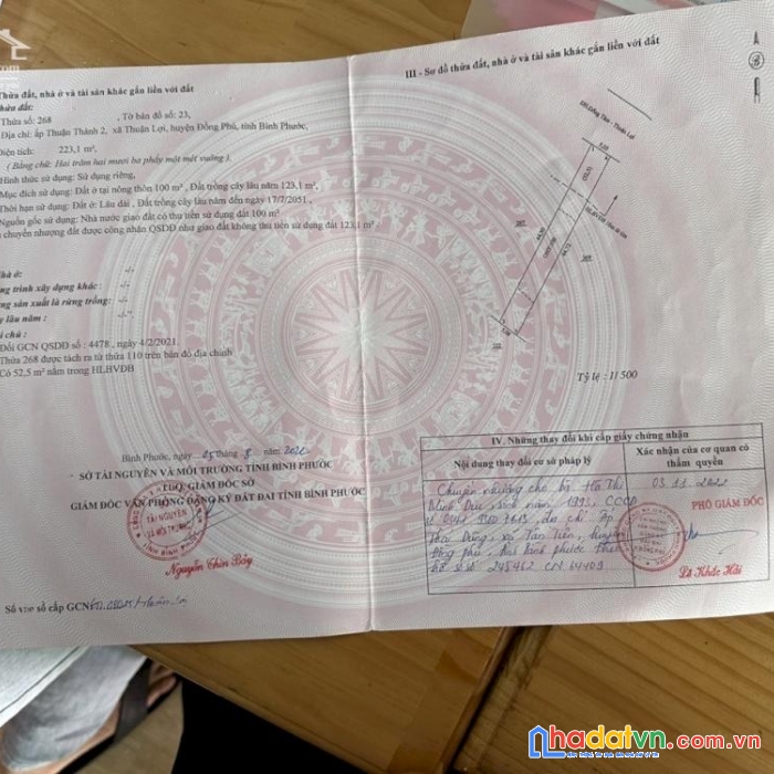Chính chủ cần bán gấp lô đất mặt tiền đường dh đồng tâm - thuận lợi , đồng phú, bình phước