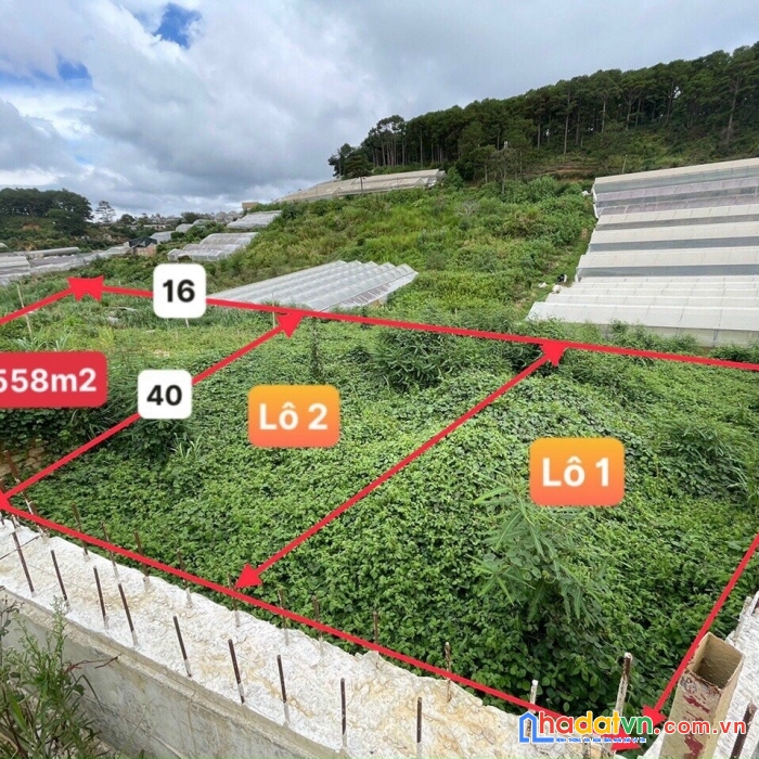 Bán gấp đất nền biệt thự view thoáng đường vạn thành, đà lạt 558m2