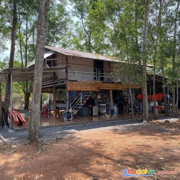 Bán 1ha khu vực hồ trị an làm khu camping đồng nai