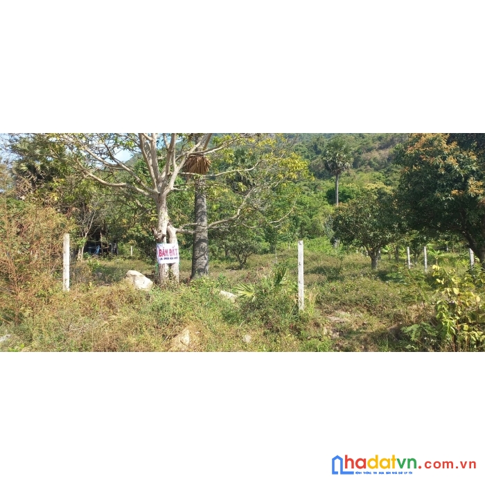 Chính chủ cần bán đất mặt tiền an hảo, tịnh biên, an giang.