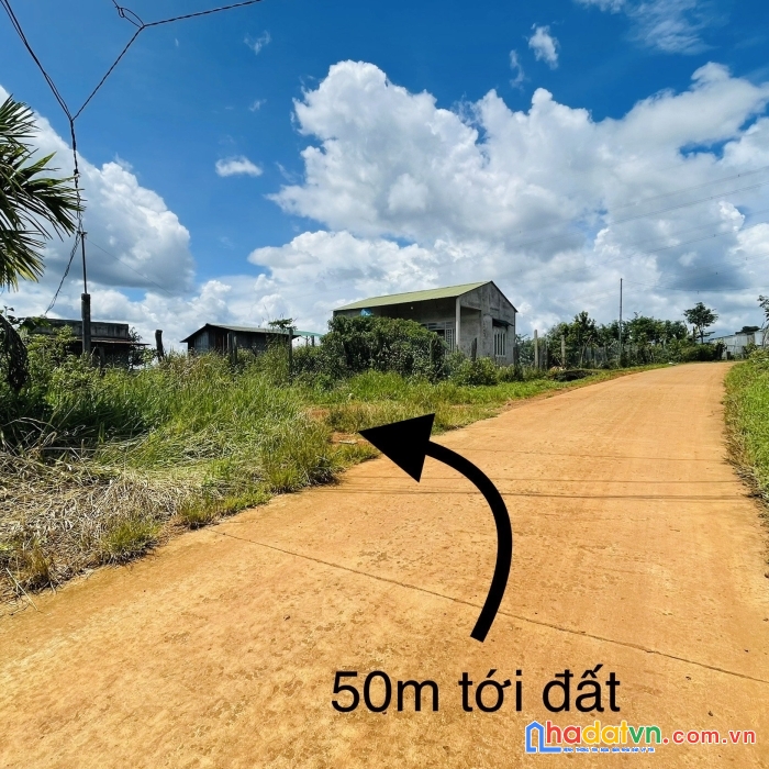 Chính chủ bán lô đất siêu rẻ, đẹp 1135m2 chỉ có hơn 3ootr huyện tuy đức, tỉnh đăk nông