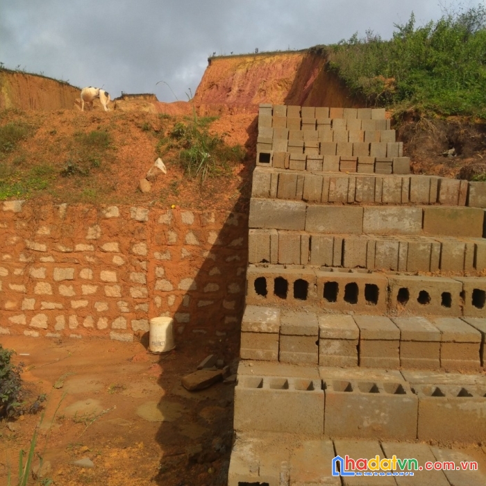 Bán gấp lô đất biệt thự view đẹp tại măng ling, đà lạt 650m2 giá 9.5 tỷ