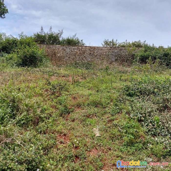 Bán đất măng line phường 7 đà lạt 217m2