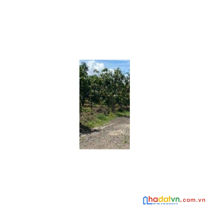 Chính chủ cần bán đất vườn gần ql20 kcn định quản – đồng nai