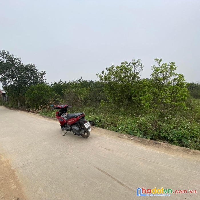 Bán 348m2 đất nông nghiệp chuyển đổi lên đất ở đô thị ( otd )