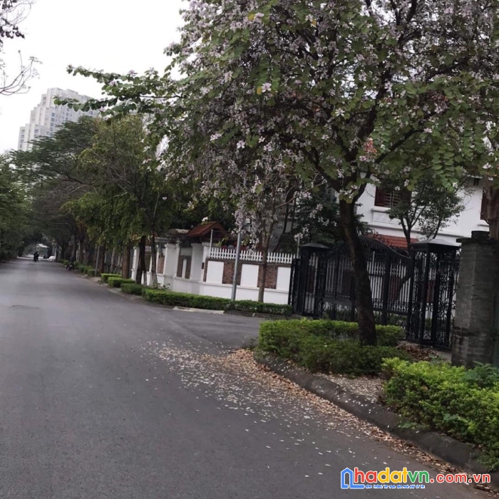 Cực hiếm bán biệt thự hoa phượng an khánh , hoài đức 215m ô tô, kinh doanh 16,x tỷ
