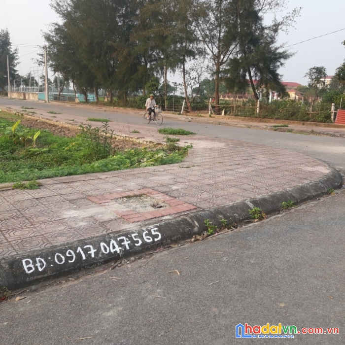 Chính chủ cần tiền bán nhanh lô đất đấu giá của nhà nước tại xã đông thọ - thái bình.