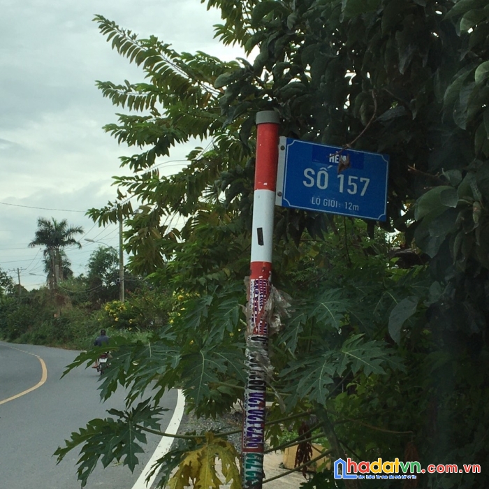 Chính chủ bán đất ở đường nguyễn kim cương, xã tân thạnh đông, huyện củ chi, tp.hcm