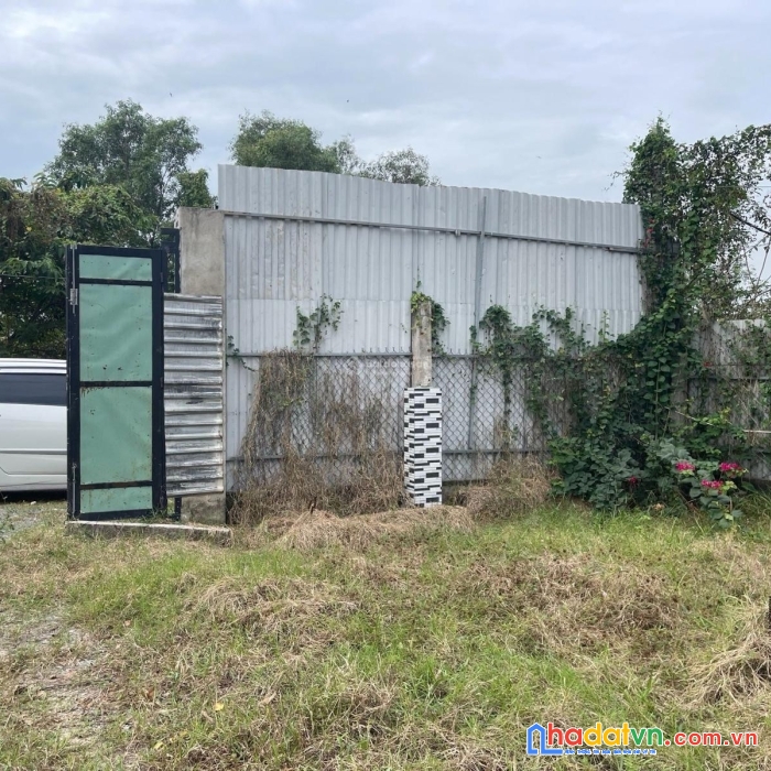 Bán đất 15mx33m đường cầu suối, xã vĩnh lộc b, bình chánh, tp. hcm