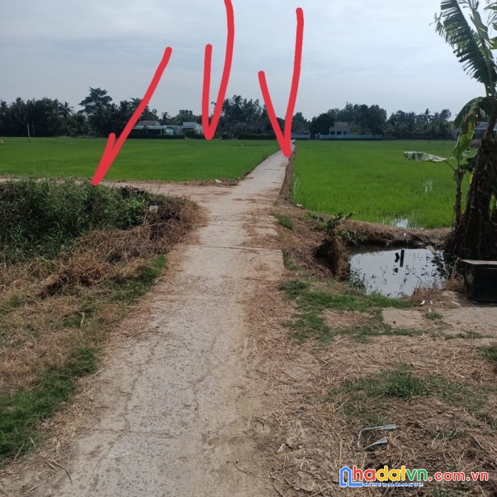 Chính chủ cần bán gấp lô đất  nông nghiệp phía đông ở tiền giang