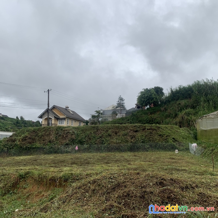 ( đất rộng giá tốt ) chủ gửi bán gấp đất rộng mặt tiền đường đa phú, đà lạt 2500m2 giá 35 tỷ