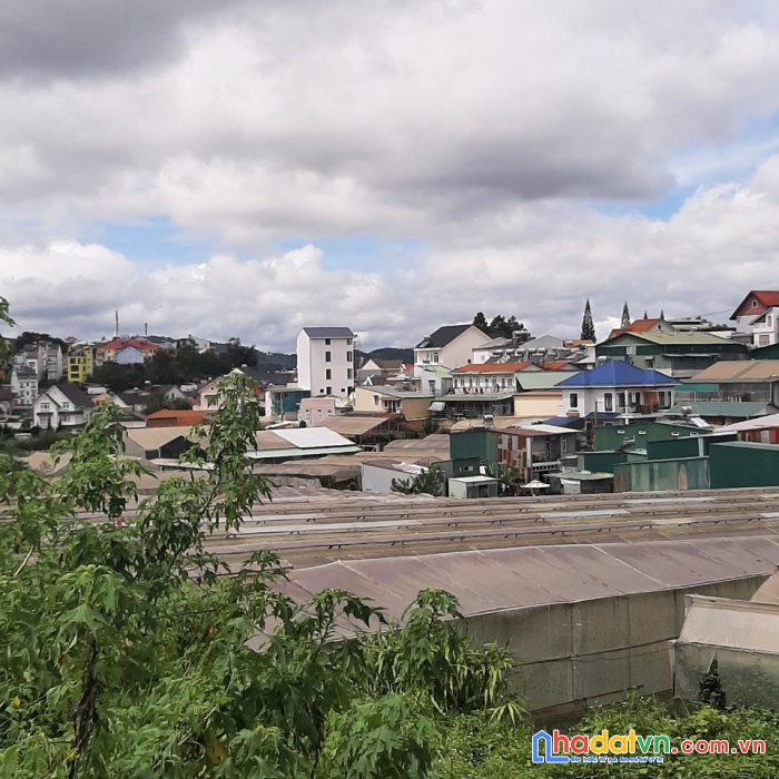 ( ngộpppp ) cần bán gấp đất nền biệt thự mặt tiền đường trần khánh dư, đà lạt 364m2 giá 20 tỷ