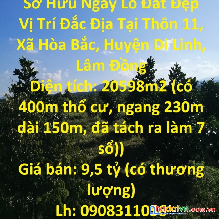 Sở hữu ngay lô đất đẹp vị trí đắc địa tại thôn 11, xã hòa bắc, huyện di linh, lâm đồng