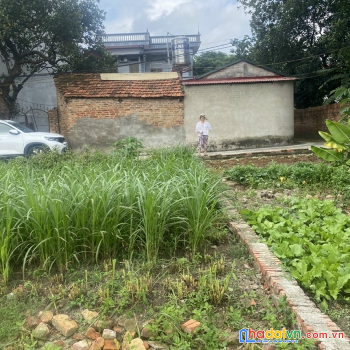 Tài chính 1 tỷ- chính chủ cần tiền sang nhượng gấp lô đất tại phù linh, sóc sơn hà nội.
