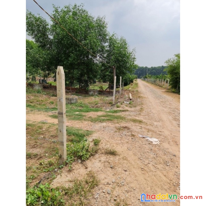 Chính chủ bán đất mặt sông thị tính, xã an điền, thị xã bến cát, bình dương