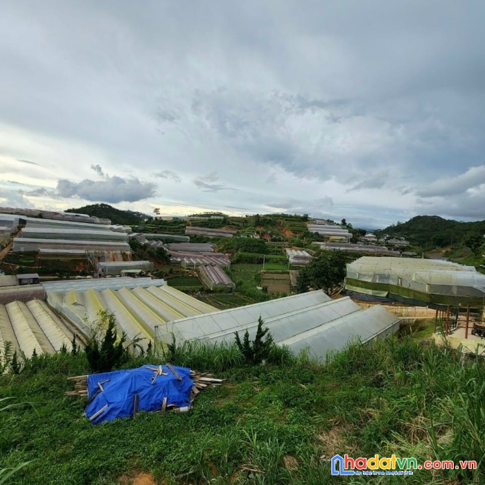 ( giá tốt quá ).... cơ hội sở hữu lô đất rộng view đẹp đường cao thắng, đà lạt 1398m2 giá chỉ 10 tỷ