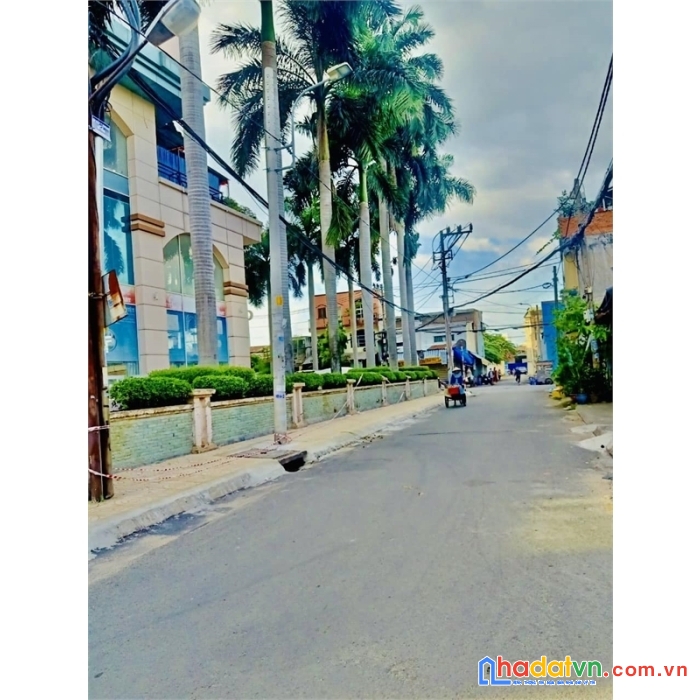 Mặt tiền đường d8 ( bùi cẩm hổ ), tân thới hòa, tân phú – 388m2, 21.5 tỷ