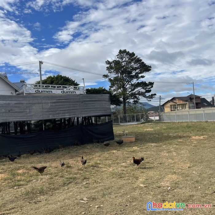 Bán đất mặt tiền đường nam hồ phường 11 đà lạt