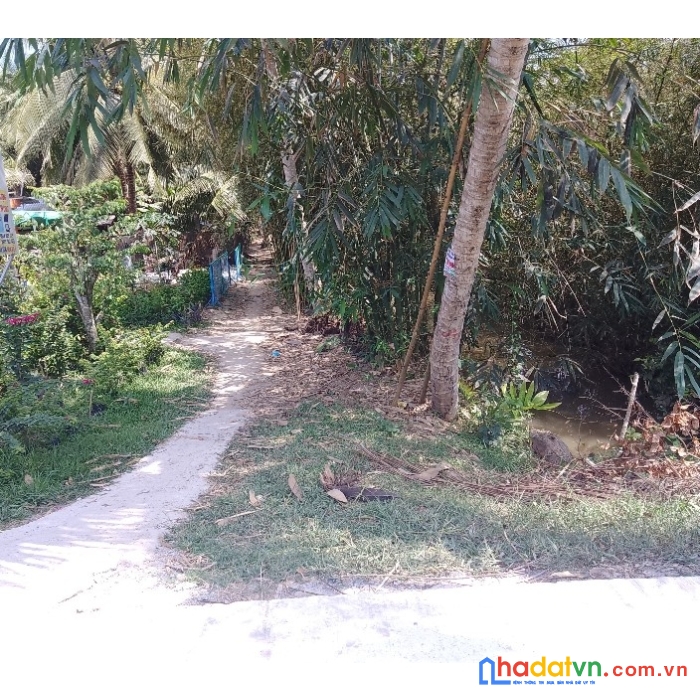 Chính chủ cần bán đất vườn tại xã trung hiếu, vũng liêm, vĩnh long