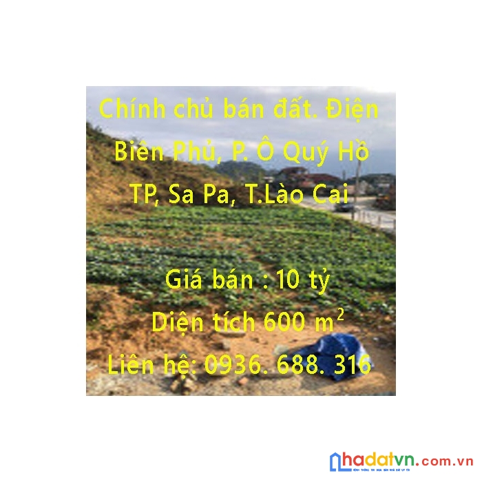 Chính chủ bán đất đường điện biên phủ, phường ô quý hồ, sa pa, lào cai