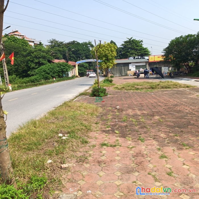 Bán đất đấu giá mai lâm - đông anh khu x1 mai hiên cắt lỗ