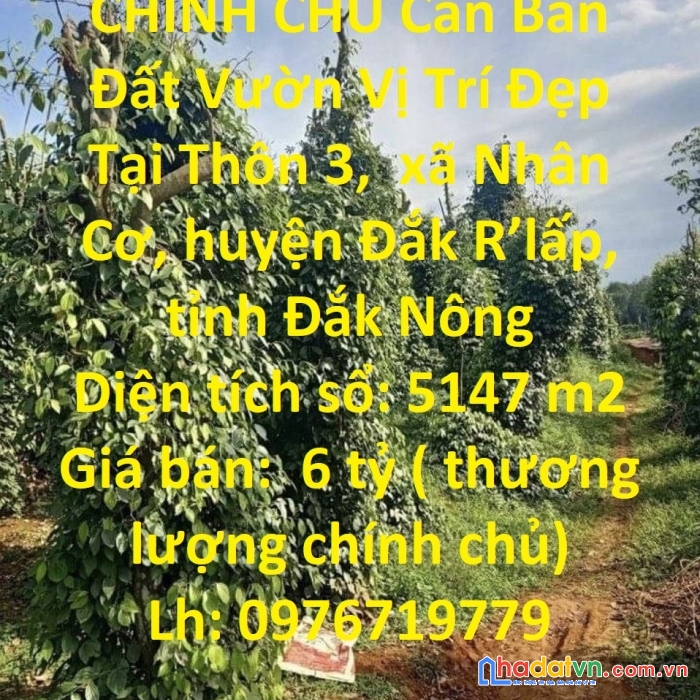 Chính chủ cần bán đất vườn vị trí đẹp tại đắk r’lấp - tỉnh đắk nông