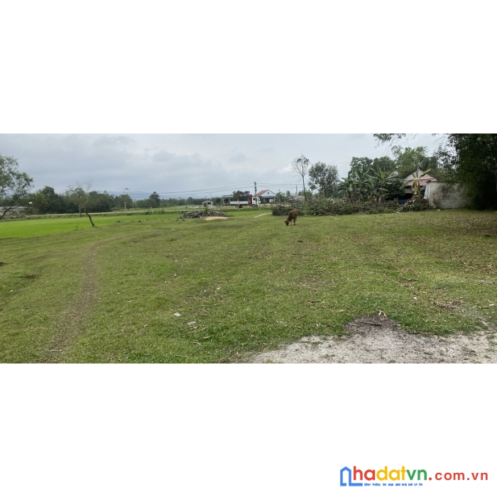 Chính chủ bán nhanh lô đất tại cẩm sơn - cẩm xuyên - hà tĩnh