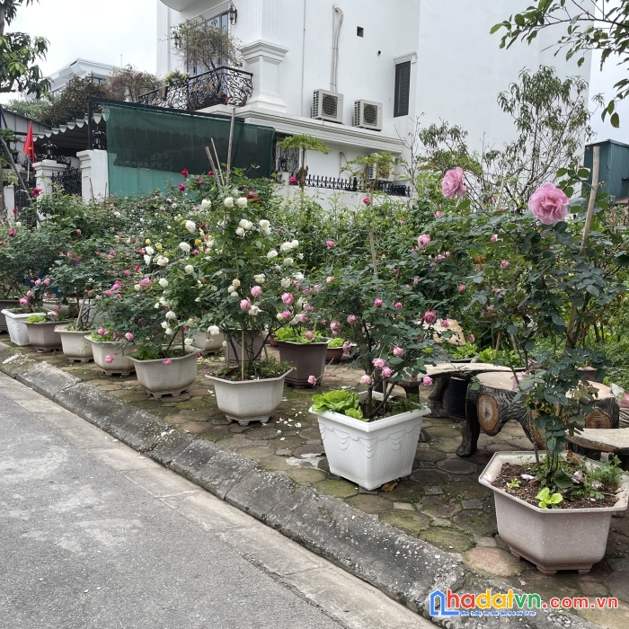 Bán nhà đất phố trần quang diệu, tây sơn, đống đa, 600m2, gpxd 9 tầng, giá 100 tỷ, thương lượng